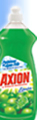 Axion