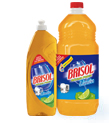 Brisol