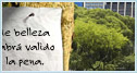 Cartas Virtuales